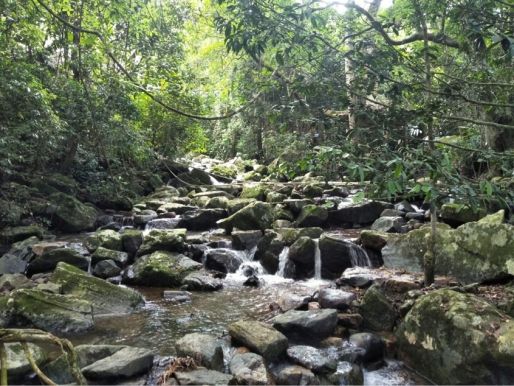 william威廉中文官网