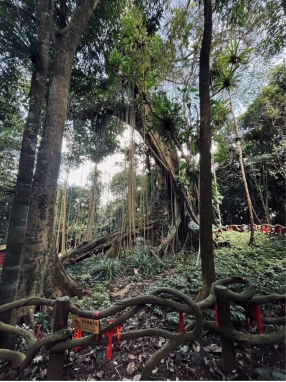 william威廉中文官网